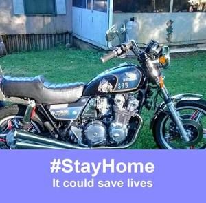 Meet your Posher, Samuel